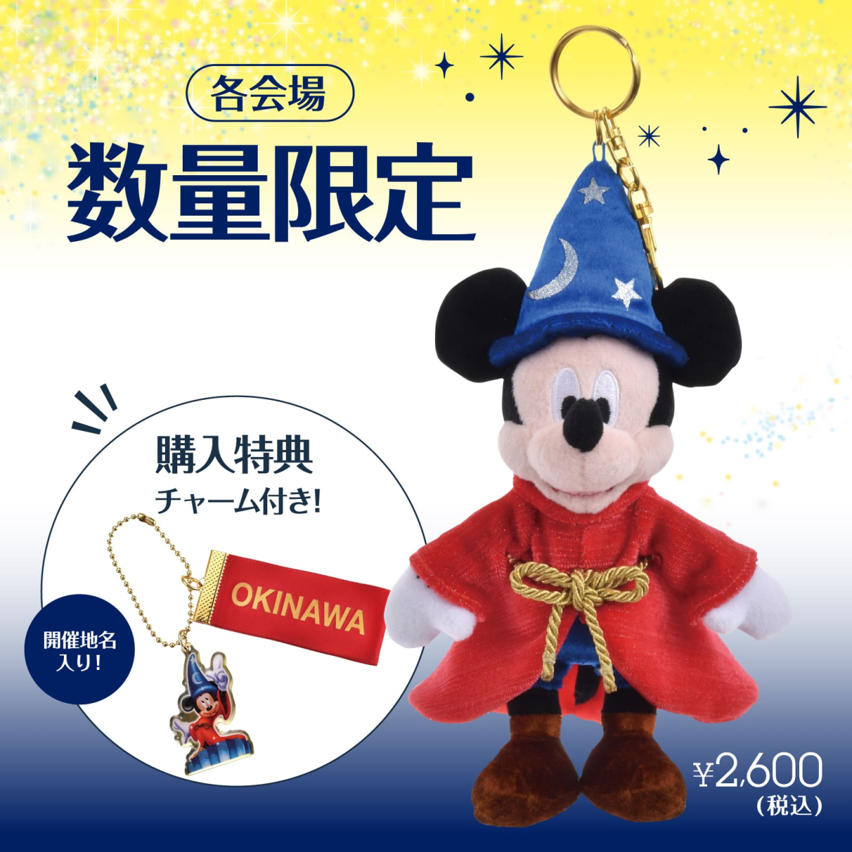 Disney FLAGSHIP TOKYO Japan Tour