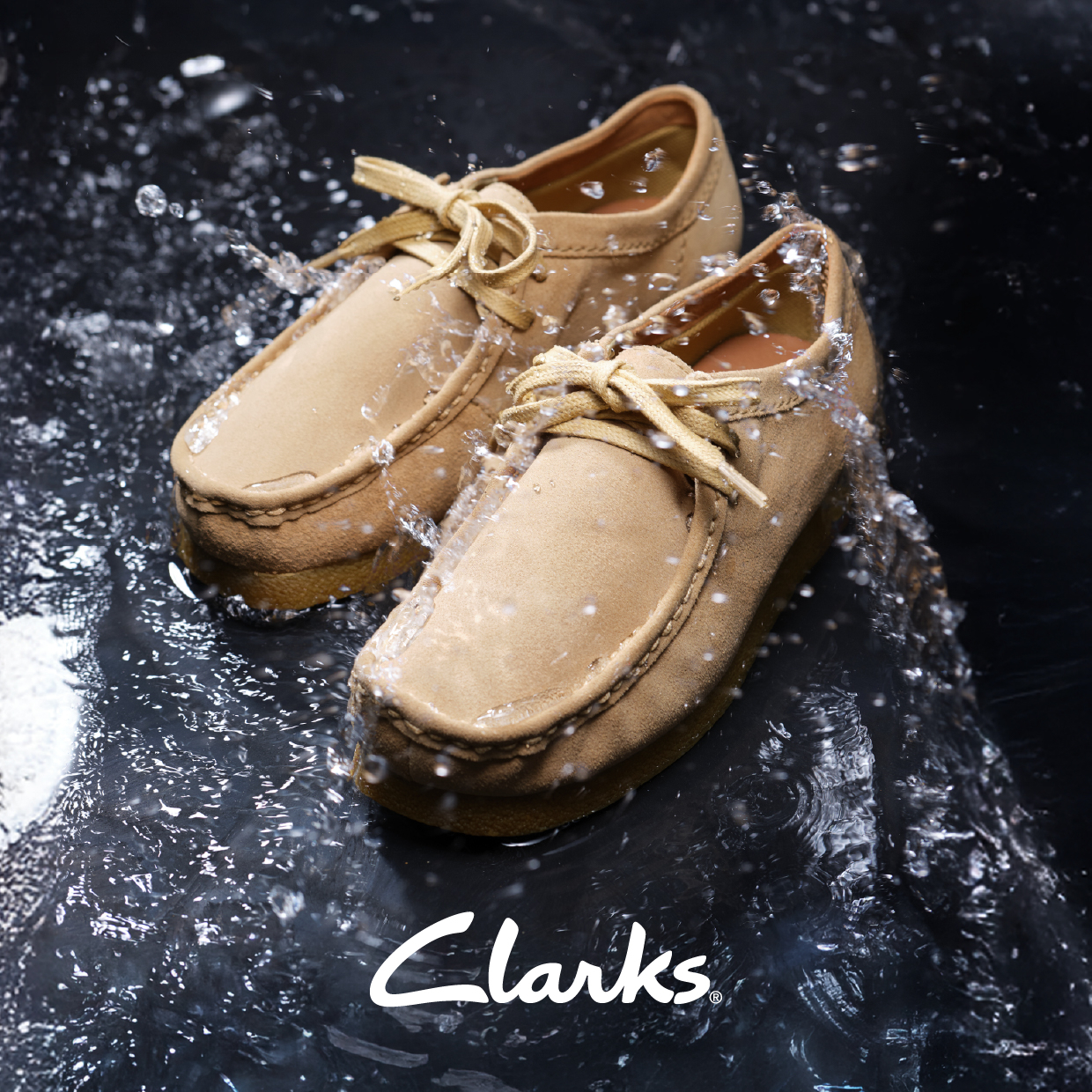 Clarks │ New & Renewal