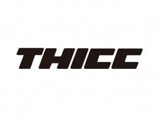 チック