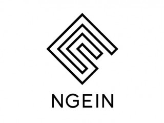 NGEIN