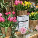 週末限定お得なお花！今週は・・