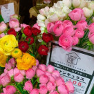 週末限定お得なお花！今週は・・