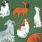 ◇DOG RUN