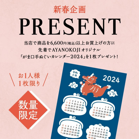 [2024] Information on New Year's Project