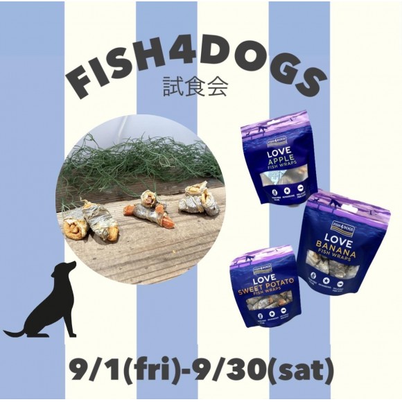 FISH4DOGS試食会