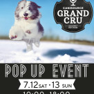 GRAND CRU試食会