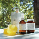 春の息吹を感じる清々しさ　季節限定「レモングラス」