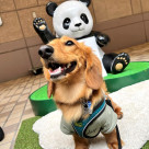第4弾！野外イベントを開催しました☆