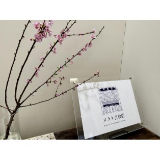 はじめまして。メラキ百貨店です。