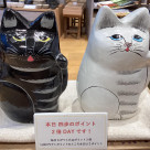 Today's point double day!