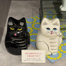 本日　ポイント2倍DAYです♪