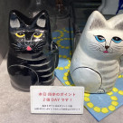 本日 ポイント2倍DAYです♪