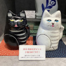 本日　ポイント2倍DAYです♪