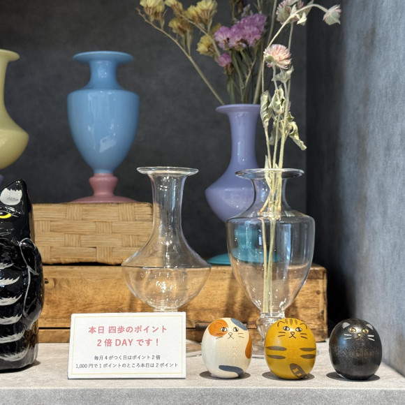 本日　ポイント2倍DAYです♪