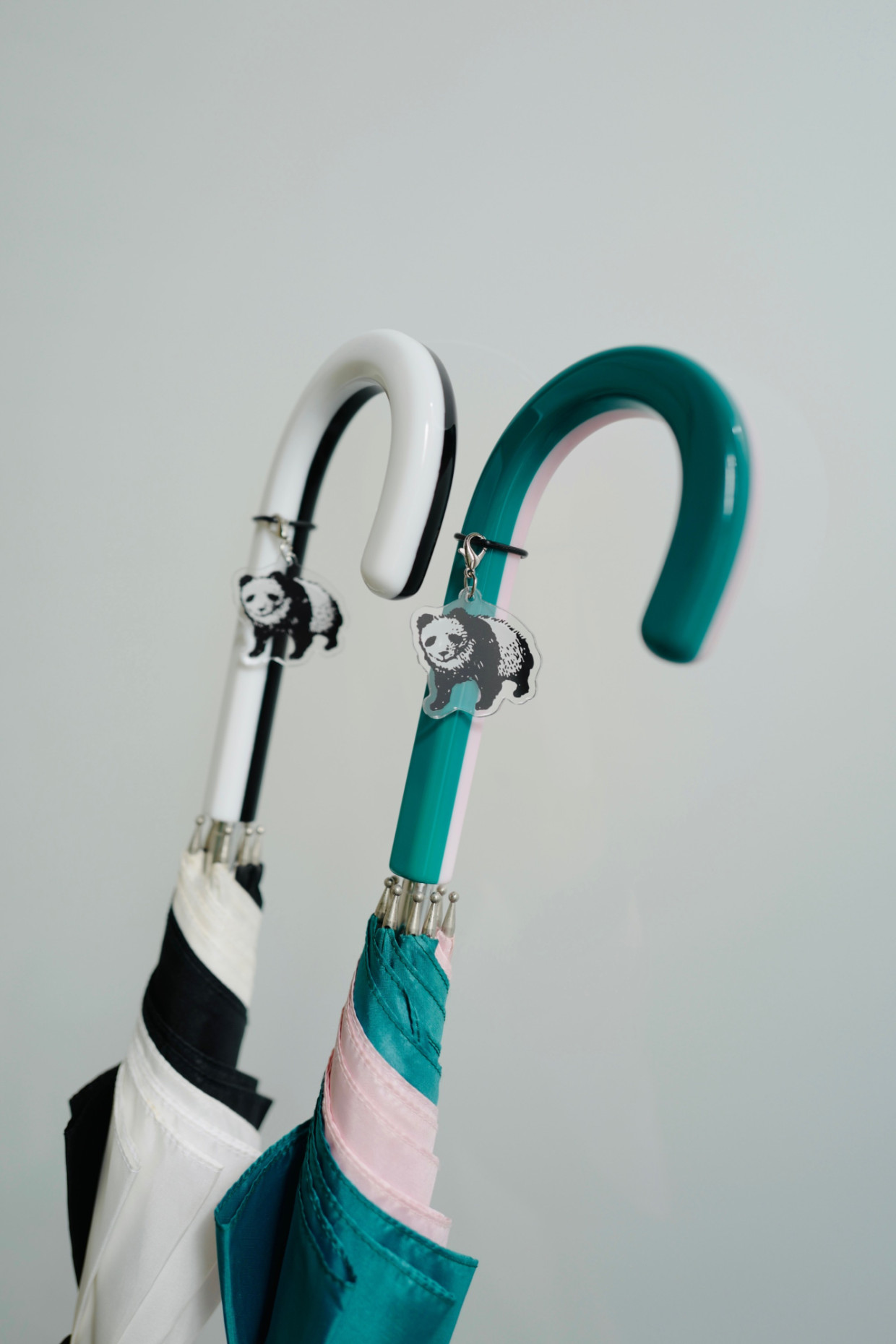 "My Panda" is open for a limited time!