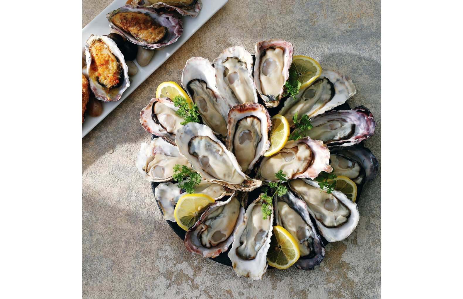 8th SEA  OYSTER bar