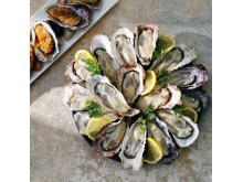 8th SEA OYSTER bar