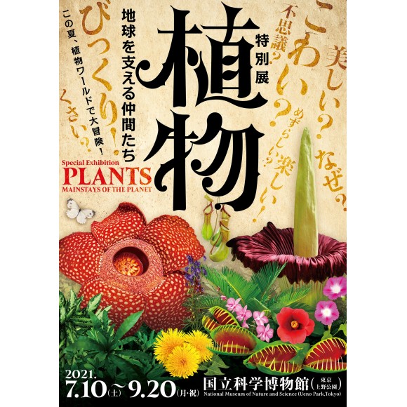 イベント 特別展 植物 オリジナルステッカープレゼント パルコニュース Parco Ya上野