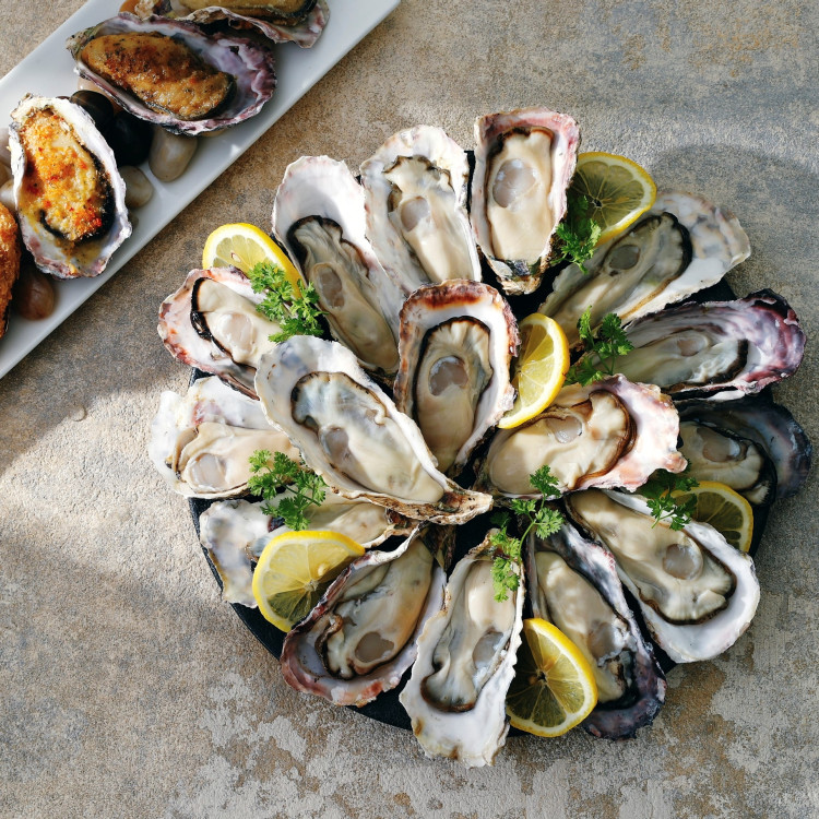 8th SEA  OYSTER bar