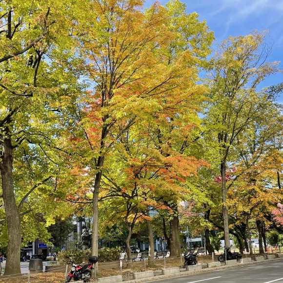 2024SSの展示会へ行ってきました♪