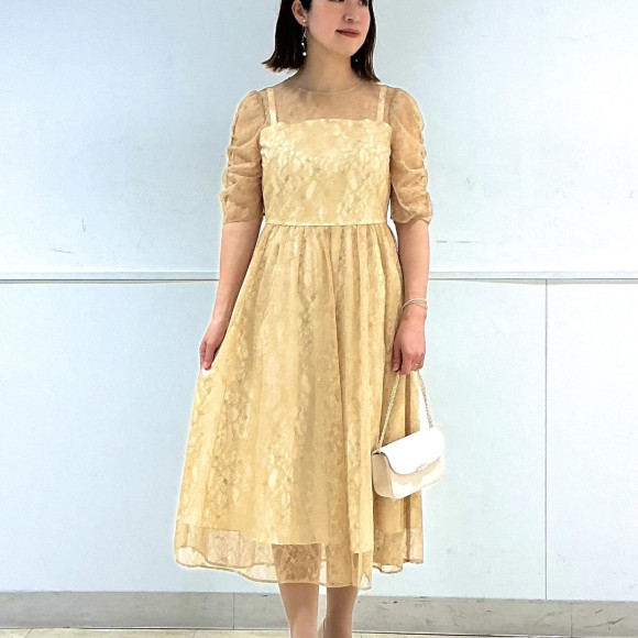 Lame Lace Gather Sleeve Lace Up Fit & Flare Dress