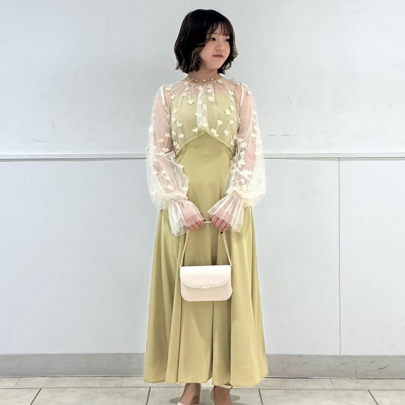 3Dフラワー刺繍ボリュームスリーブブラウス×フィット&フレアキャミソールドレス2点セット