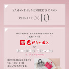 【☆リニューアル1周年記念キャンペーンのお知らせ☆】