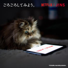 고로 해 보자.JINS HOME®×Netflix