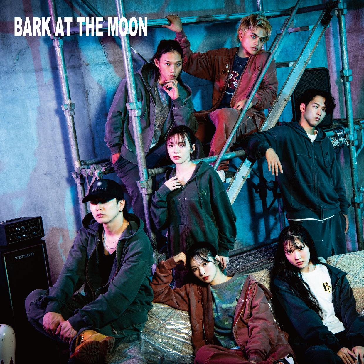BARK AT THE MOON