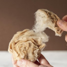 어른이 설레는 신감각의 고디바의 와타아메