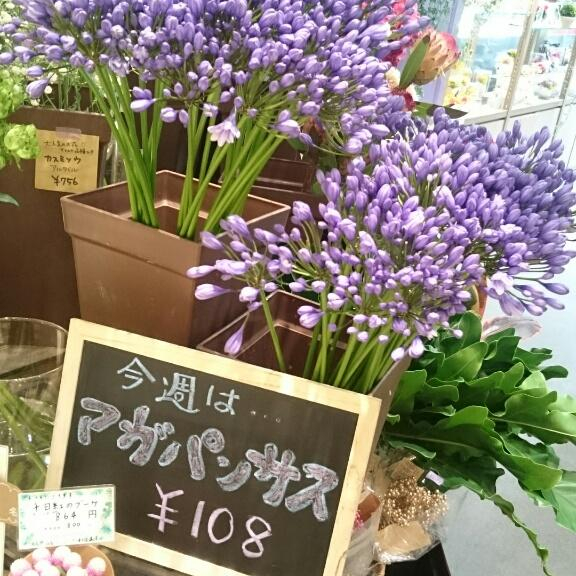 今週の100円フラワー☆
