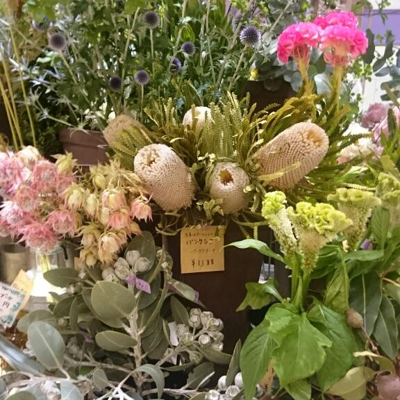 ドライになる花フェア☆
