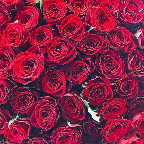 本日♡11月22日♡いい夫婦の日♡