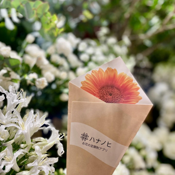 お花のサブスク♬