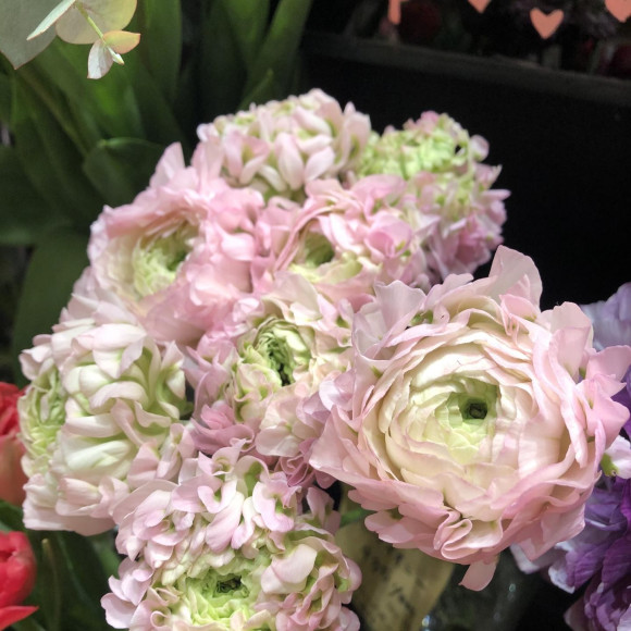 春のお花がおすすめです♡