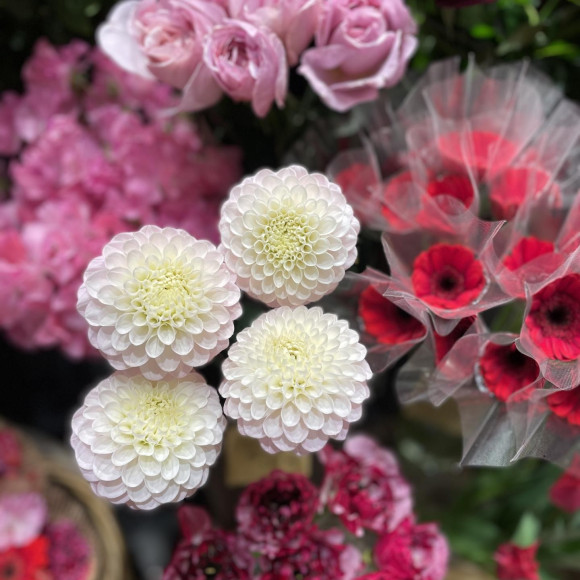 バレンタインは世界で一番お花が贈られる日！
