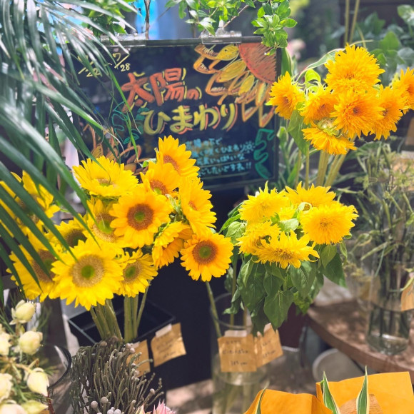 太陽のひまわりフェア