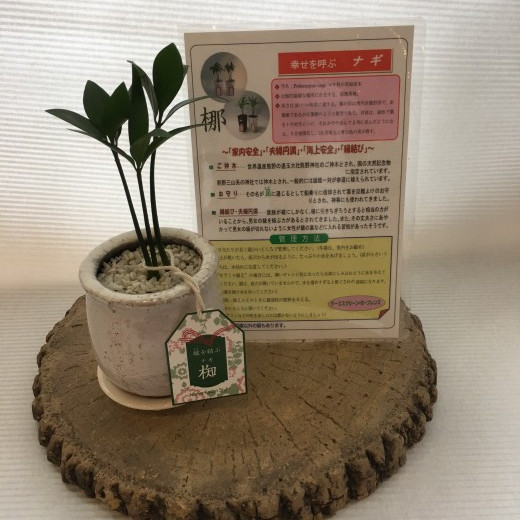 お待たせしました！