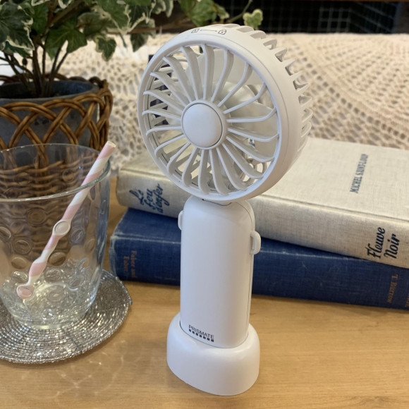 GWのお出かけの必需品、ハンディファンが届きました(*^-^*)