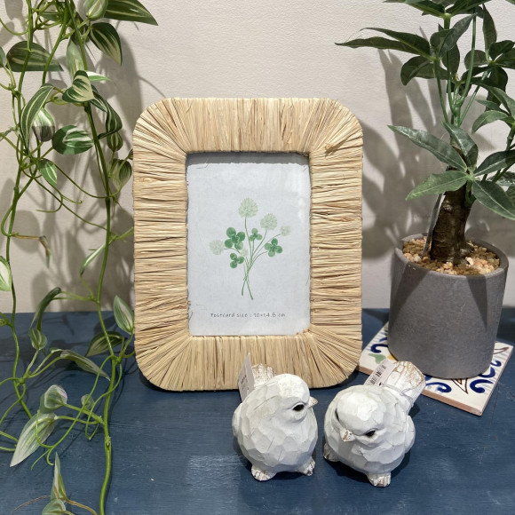 グリーンアイテムでお部屋を涼しげに