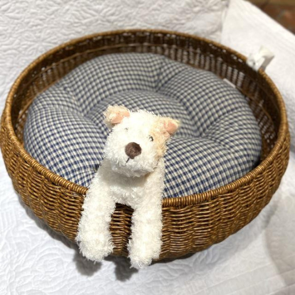 고양이를 위한 고양이 침대♫