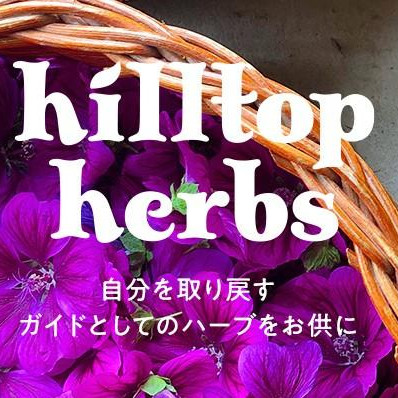 店舗限定【hilltop herbs】のイベント開催中です！