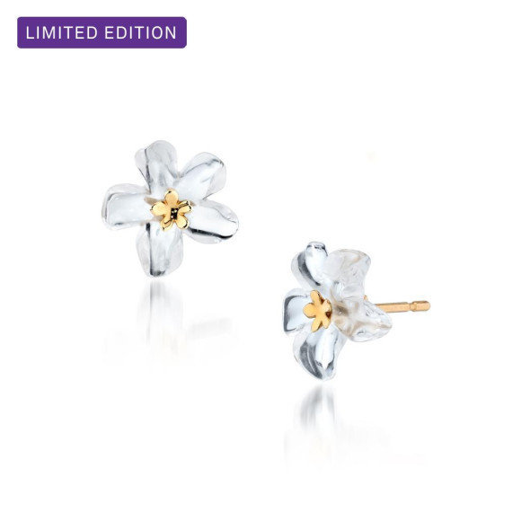 ☆数量限定　夏の新作☆