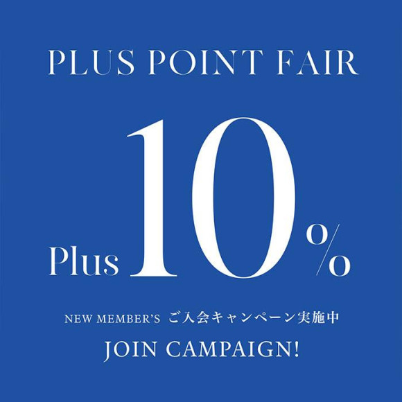 Plus Point Fair