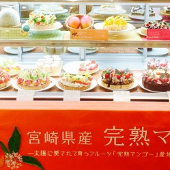 種類豊富なタルトをご用意しております♪