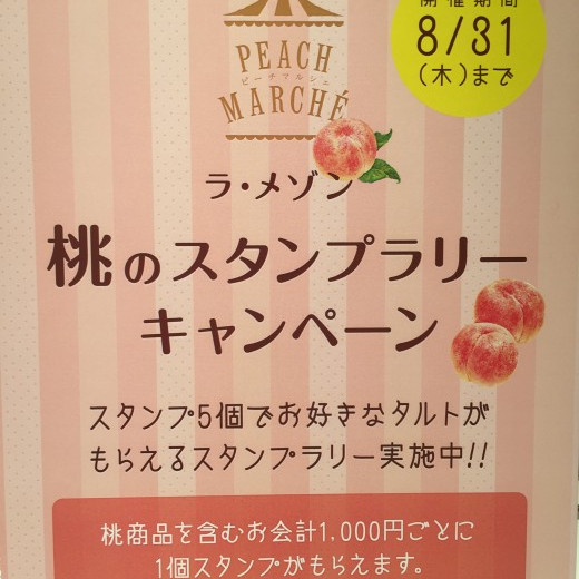 期間限定キャンペーン