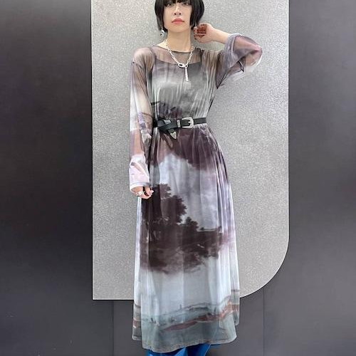 シアーワンピースは特徴的な柄が...