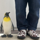 周りと被りたくないないアナタにオススメ！