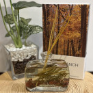 【BARK&BRANCH】香りで気持ちをリフレッシュ！ルームディフューザー！