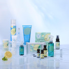 【NEW】夏季限定　ミント&レモンシリーズ